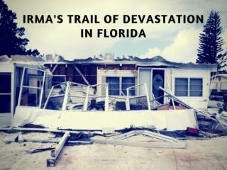 Irma Leaves Trail Of Destruction Through Florida