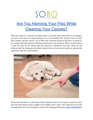 Rug Cleaning | Carpet Cleaning NYC | Soho Rug Cleaning
