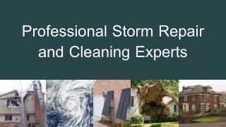 Professional Storm Repair and Cleaning Experts