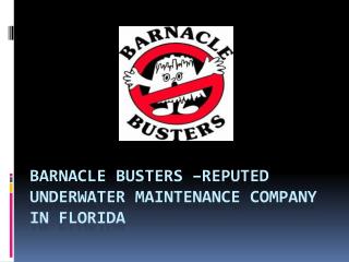 Barnacle Busters –Reputed Underwater Maintenance Company in Florida