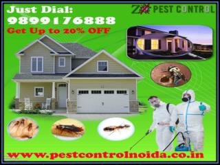 One of the Largest Pest Control Services In Noida | Get Up To 20% OFF