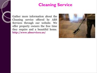 Green Cleaning Services