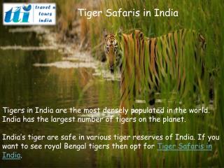Tiger Safaris in India