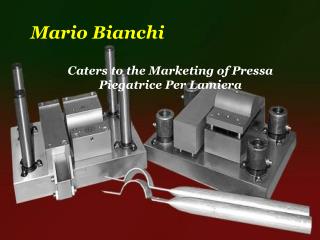 Caters to the Marketing of Pressa Piegatrice Per Lamiera