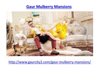 Gaur Mulberry Mansions Noida Extension-8882127127