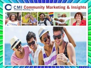 CMI LGBT Research Marketing and Training