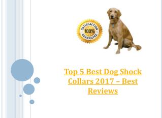 Top 5 Best Dog Shock Collars 2017 – Best Reviews