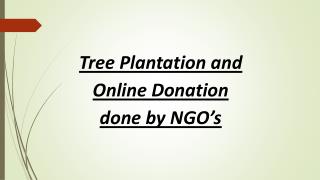 Tree Plantation and Online Donation done by NGO’s