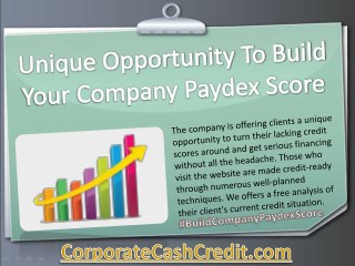 Unique Opportunity To Build Your Company Paydex Score