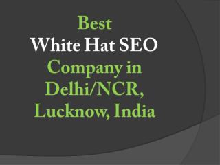 Best White Hat SEO Company in Delhi-NCR, Lucknow, India