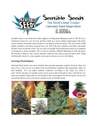 Growing Weed Indoors - Sensible Seeds