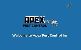 Pest Control Protection Program - Apex Pest Control