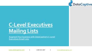 c-level professionals email list