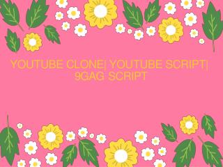 youtube clone | youtube script | 9gag script
