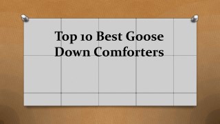 Top 10 best goose down comforters