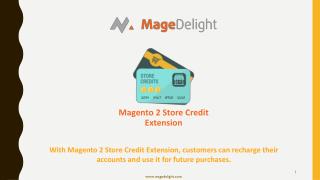 Make Checkout Faster with Magento 2 Store Credit extension
