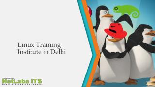 RHCE Linux Training Institute in Delhi - Netlabs ITS