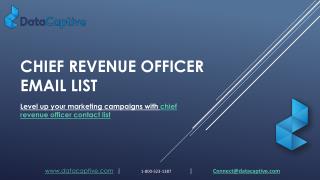 Chief Revenue Officer Mailing List