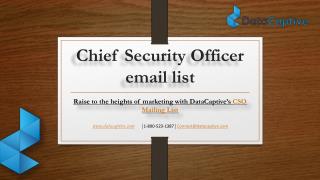 Chief Security Officer Mailing List
