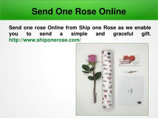 Buy Single Rose Online