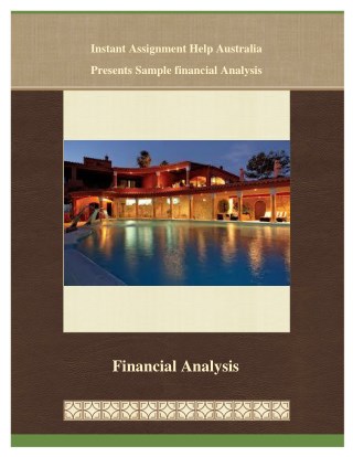 Sample on Financial Analysis from Instant Assignment