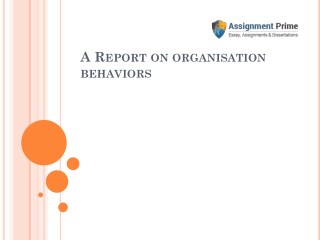 A Report on Structures and Cultures of Different Organization.