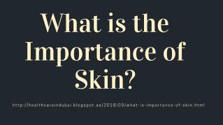 What is the Importance of Skin?