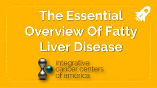 The Essential Overview Of Fatty Liver Disease