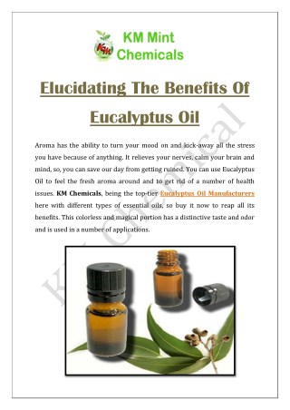 Elucidating The Benefits Of Eucalyptus Oil