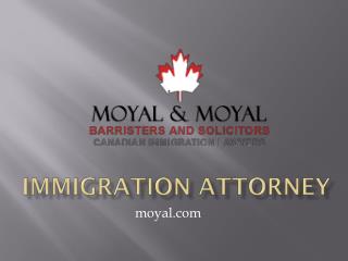 Immigration attorney