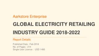 Global Electricity Retailing Industry Guide 2018-2022