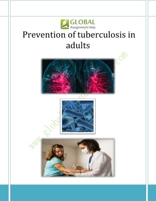 Prevention Methods and Treatment for Tuberculosis Disease