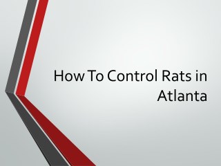 How To Control Rats in Atlanta