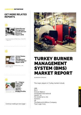 Turkey Burner Management System (BMS) Market Report, Analysis and Forecast 2025