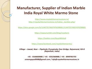 Manufacturer, Supplier of Indian Marble India Royal White Marmo Stone