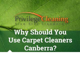 Why Should You Use Carpet Cleaners Canberra
