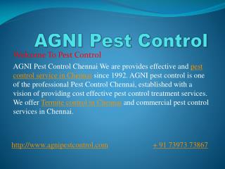 Pest Control Service in chennai