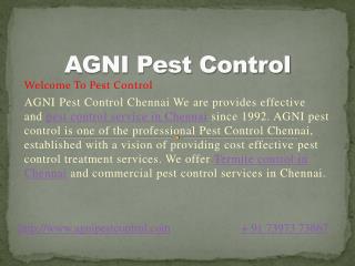 Termite control in Chennai
