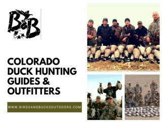 Colorado Top Duck & Goose Hunting Guides