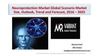 Neuroprotection Market Global Scenario Market Size, Outlook, Trend and Forecast, 2016 â€“ 2025