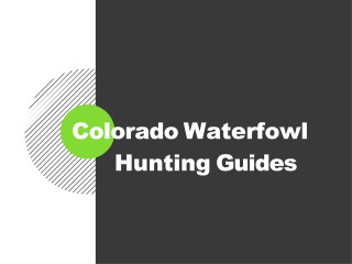 Waterfowl Hunting Guides In Colorado