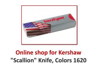 Online shop for Kershaw "Scallion" Knife, Colors 1620
