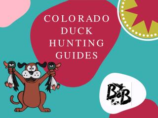 Colorado Duck Hunting Guides