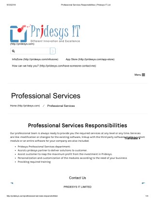 Professional Services Responsibilities | Pridesys IT Ltd