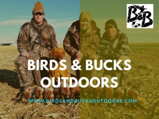 Colorado Best Duck Hunting Club