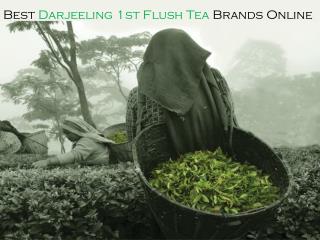 Best Darjeeling 1st Flush Tea Brands Online