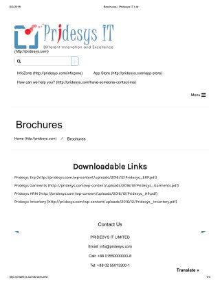 Brochures | Pridesys IT Ltd