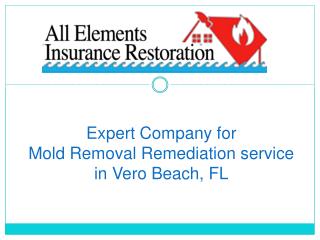 Expert Company for Mold Removal Remediation service in Vero Beach, FL