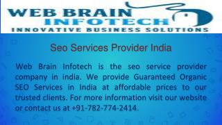 Seo Services Provider India