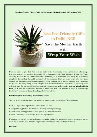 Best Eco-Friendly Gifts in Delhi, Ncr - Save the Mother Earth with Wrap Your Wish